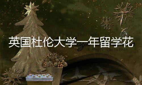 留学指南杜伦大学英国一年预算花费